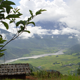 Environment and Nature