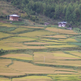 Environment and Nature